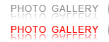 Photo Gallery